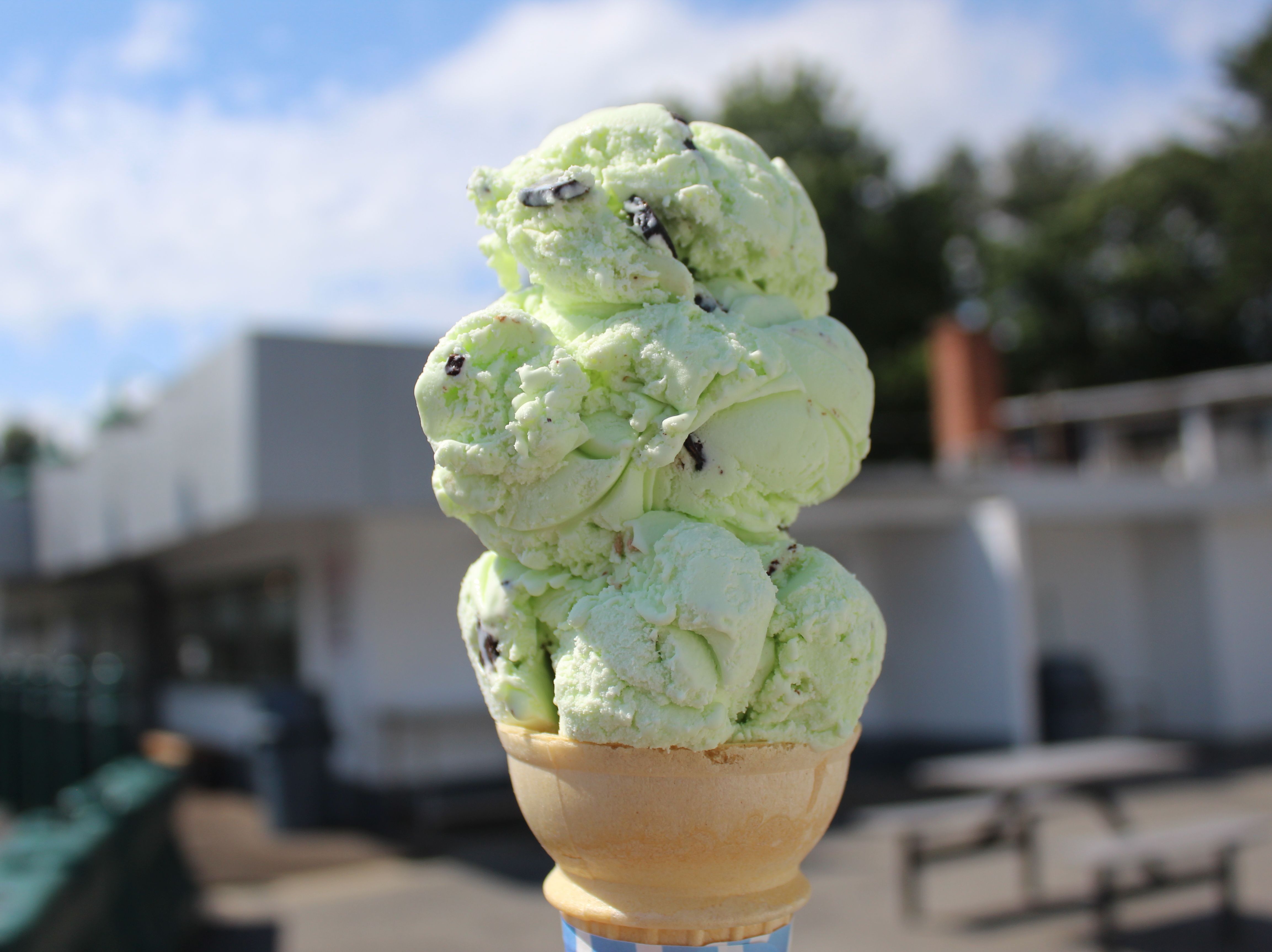 Mint Chocolate Chip.