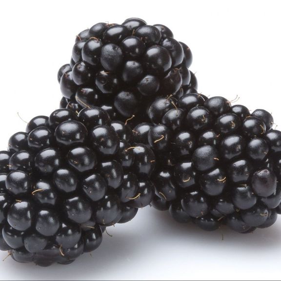 Blackberries, Half Pint