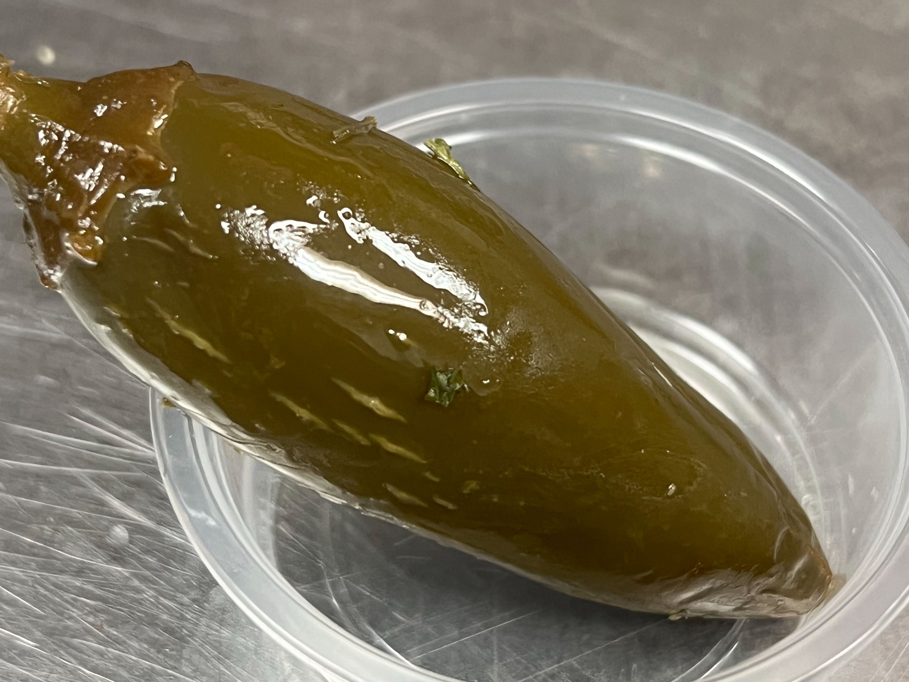 Jalapeno Pepper.