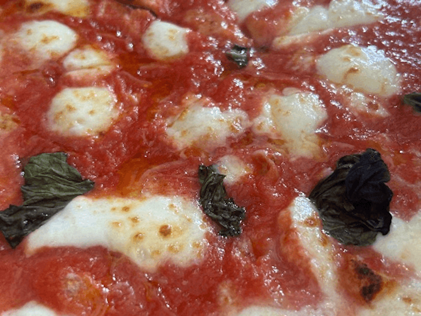 CLASSIC MARGHERITA.