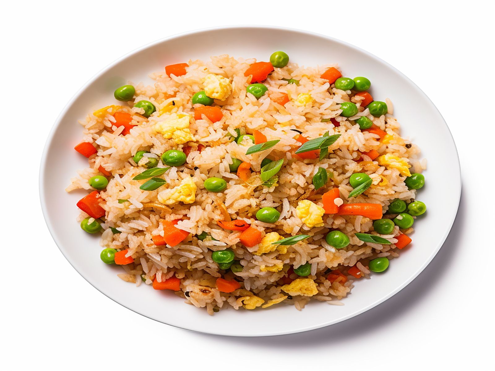 Fried Rice Combination Special(LG size)