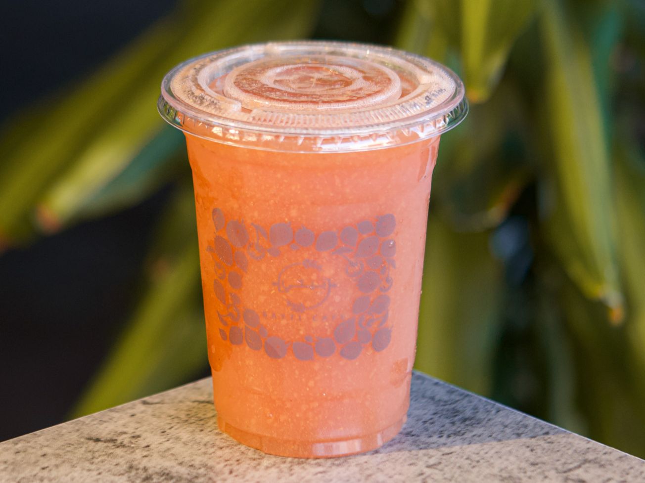 Carrot Juice (J).