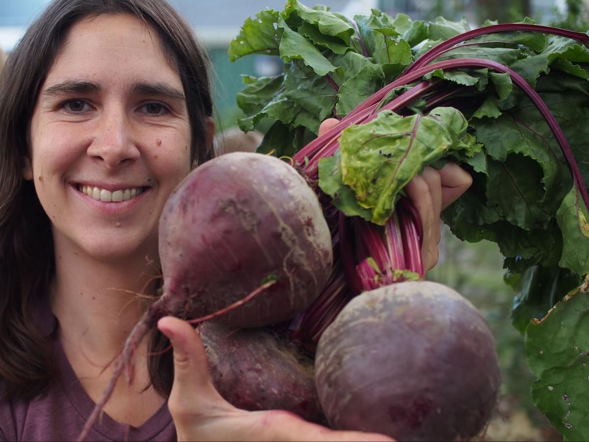 Seed - Beet, Lutz Green Leaf (Winter Keeper)