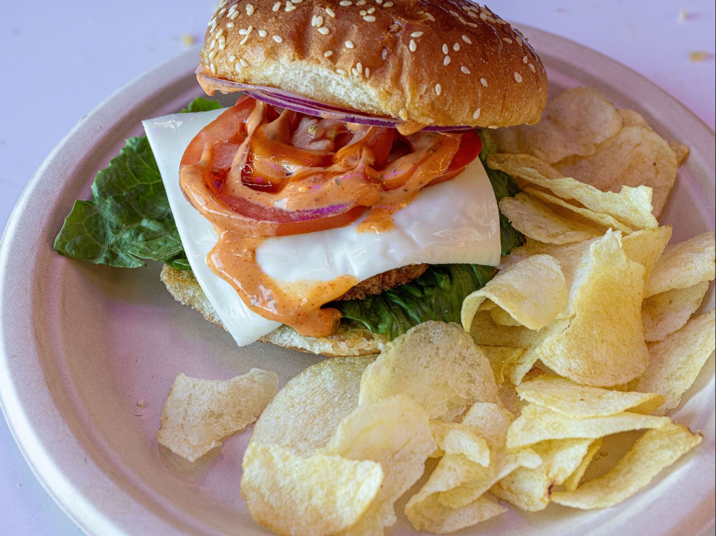 Mexican Burger Combo (S).