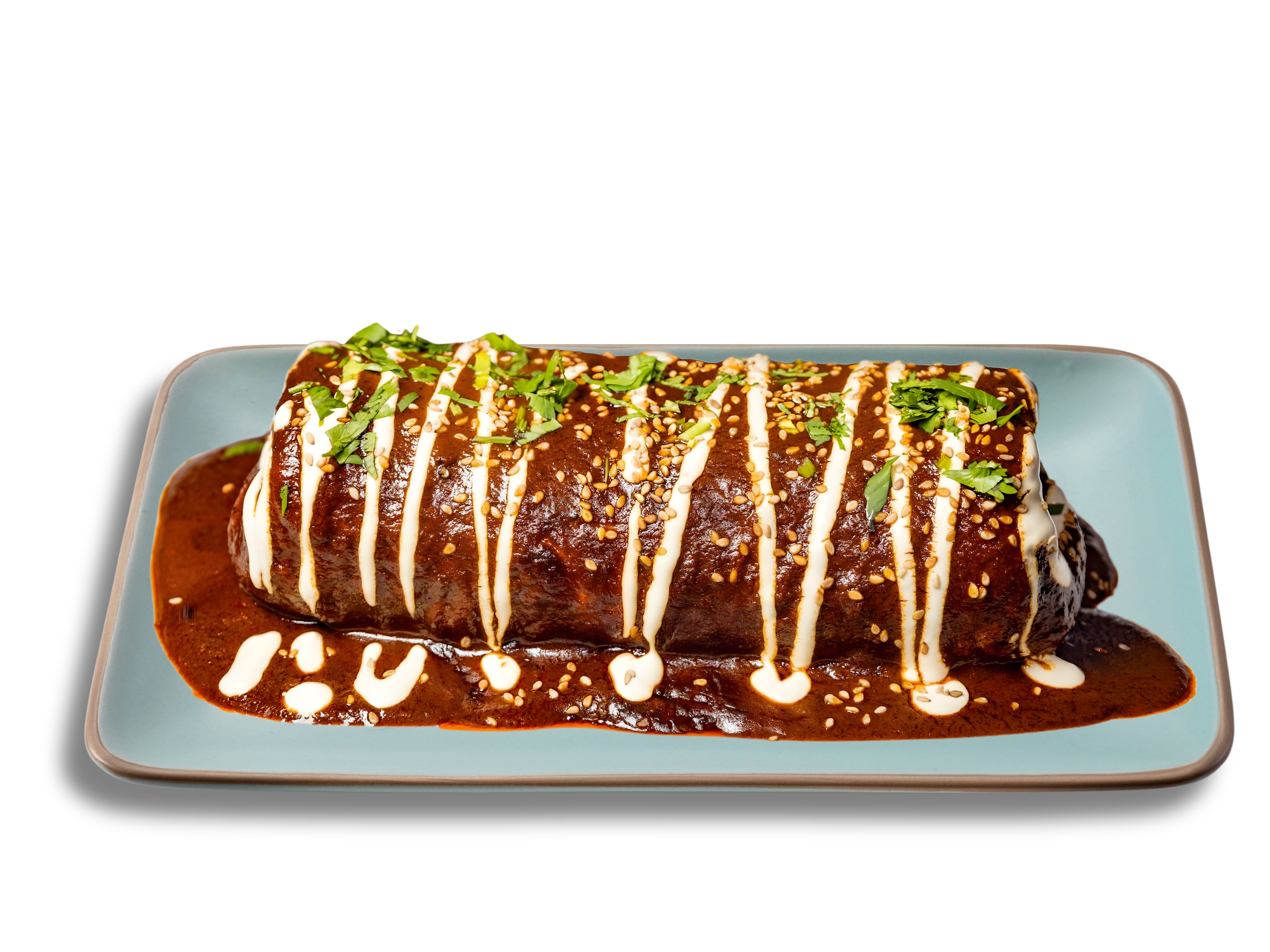 Mole Burrito.
