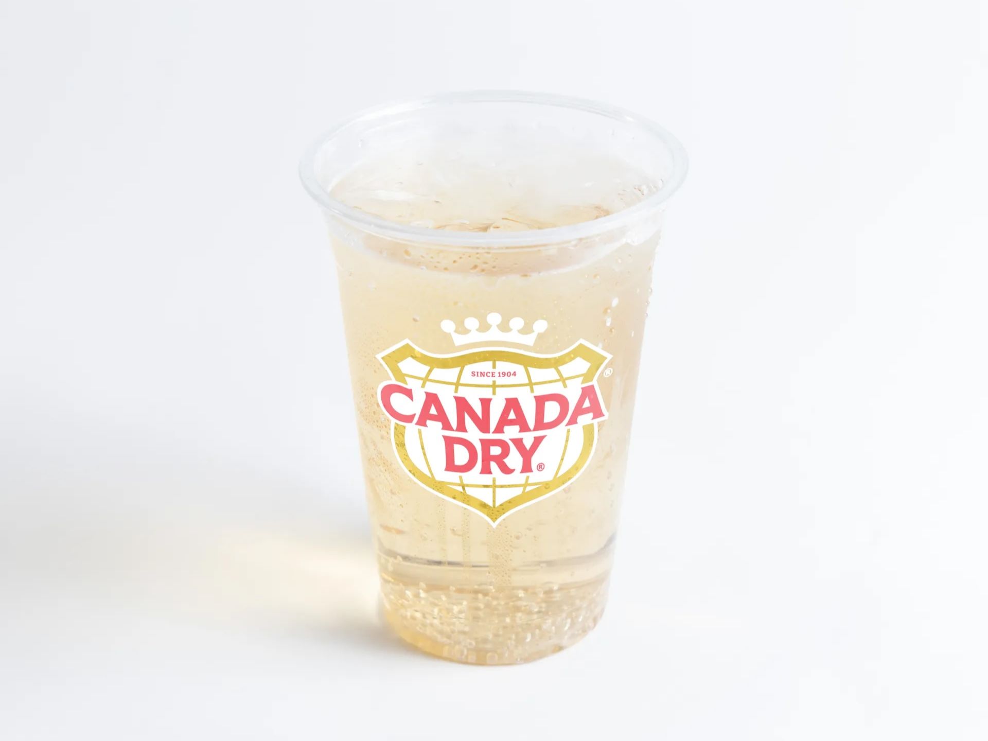 Ginger Ale Can.