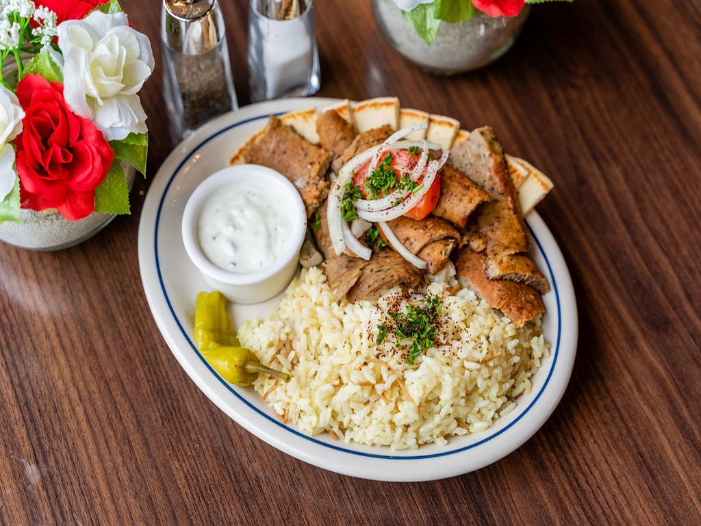 Gyro Plate.