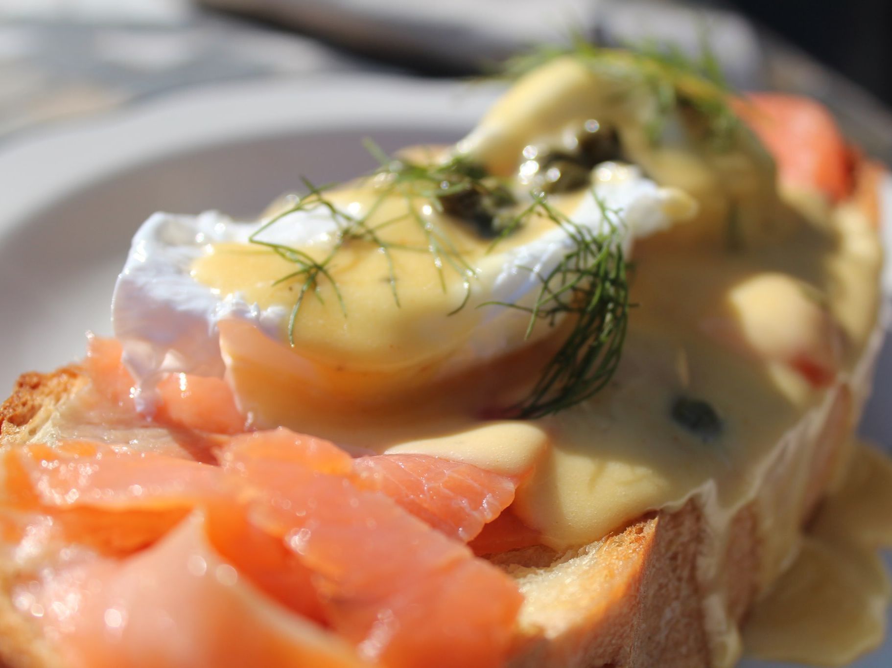 Salmon Benedict.