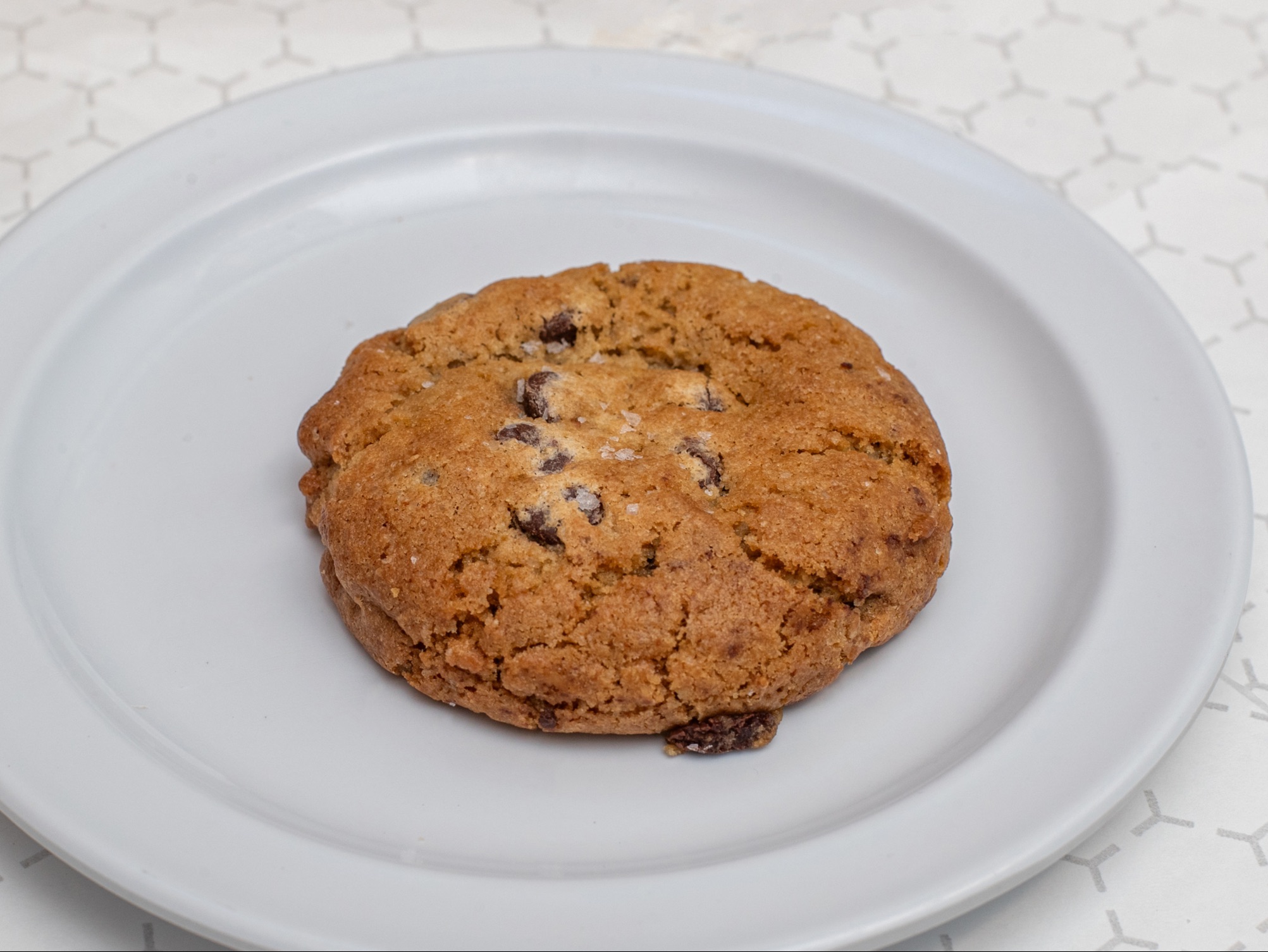 Gourmet Choc Chip Cookie