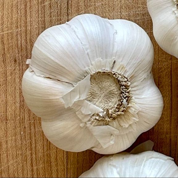 Garlic per bulb