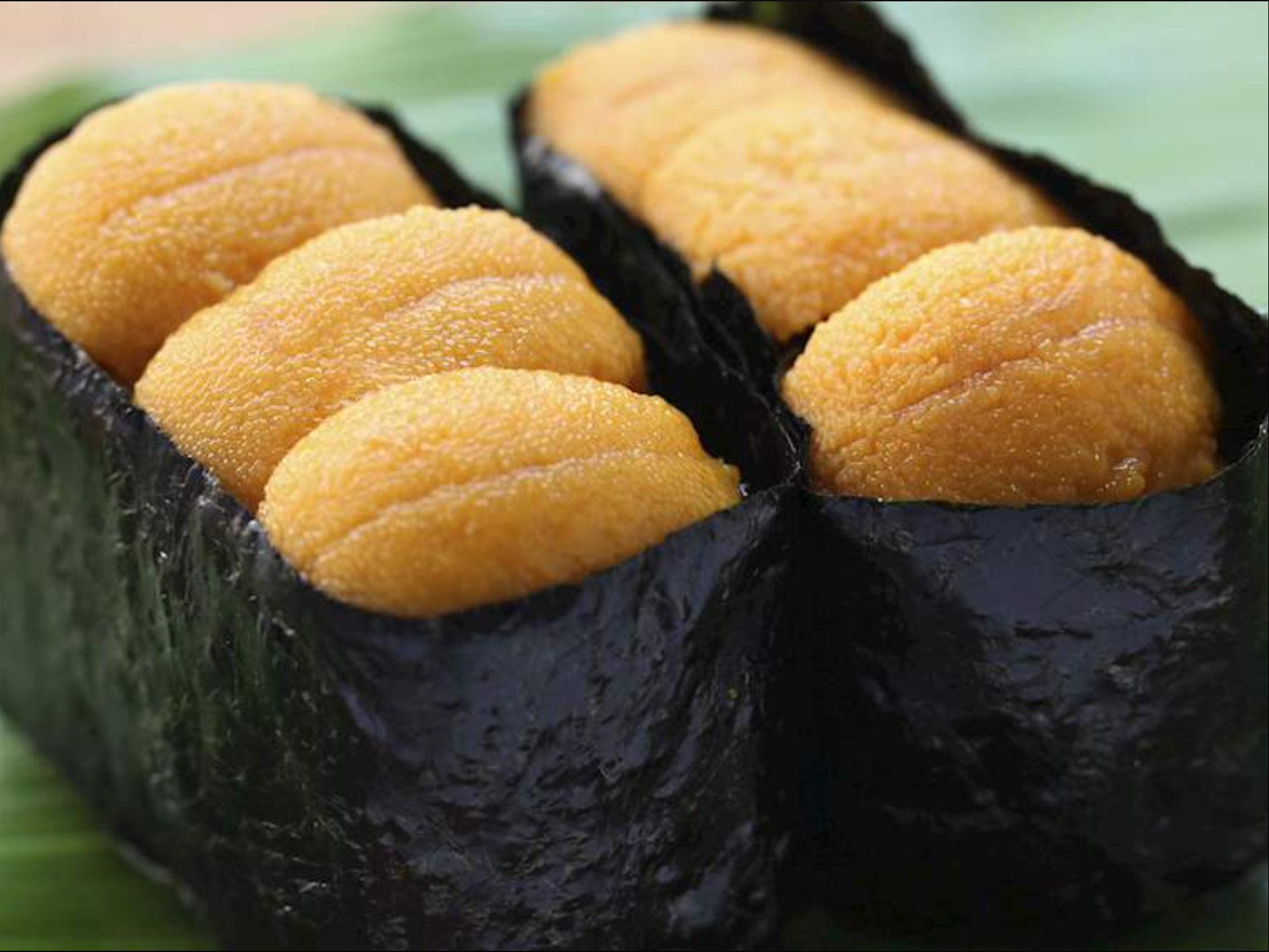 Hokkaido Uni Gunkan