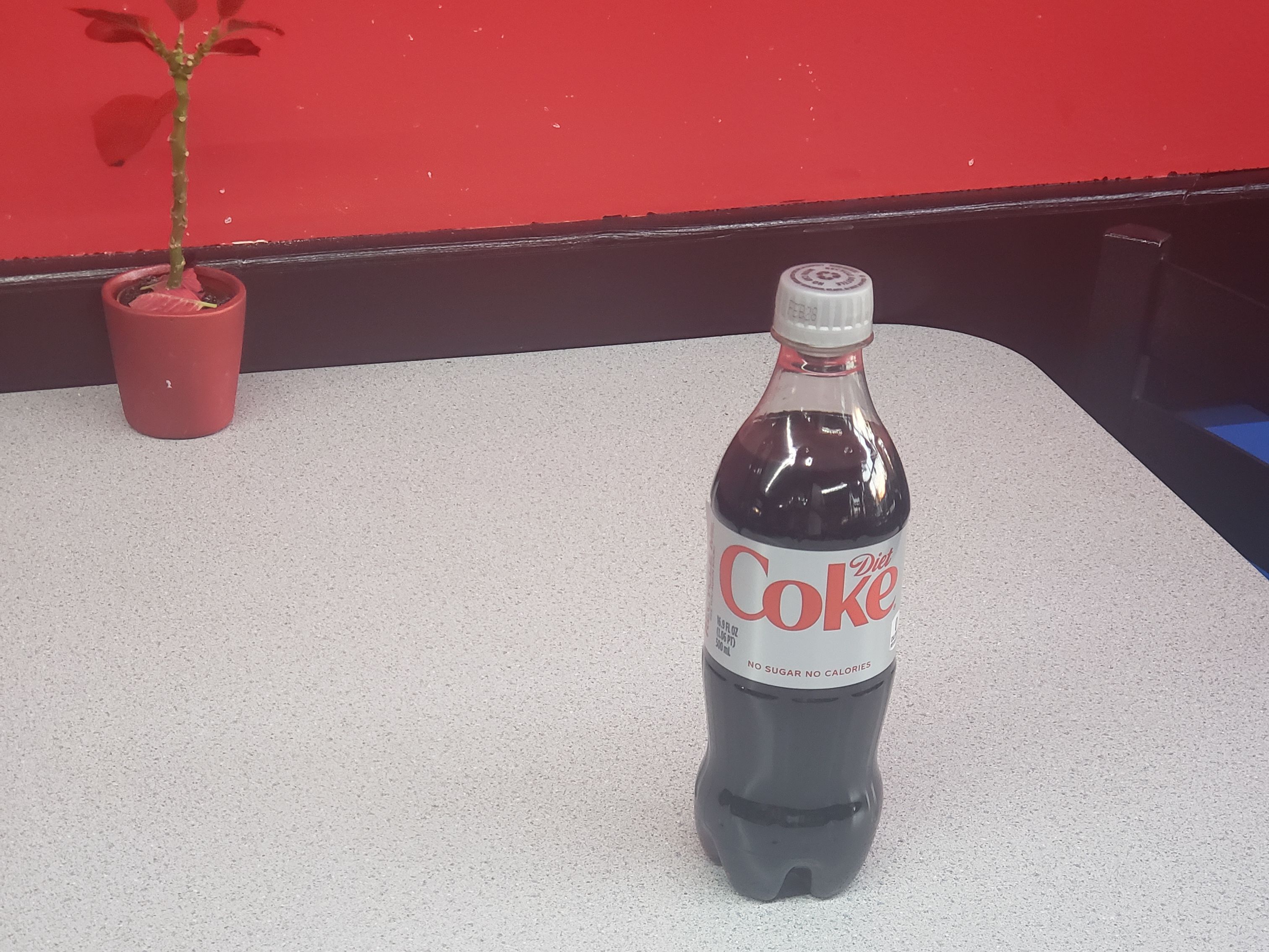 Diet Coke (20 Fl oz).