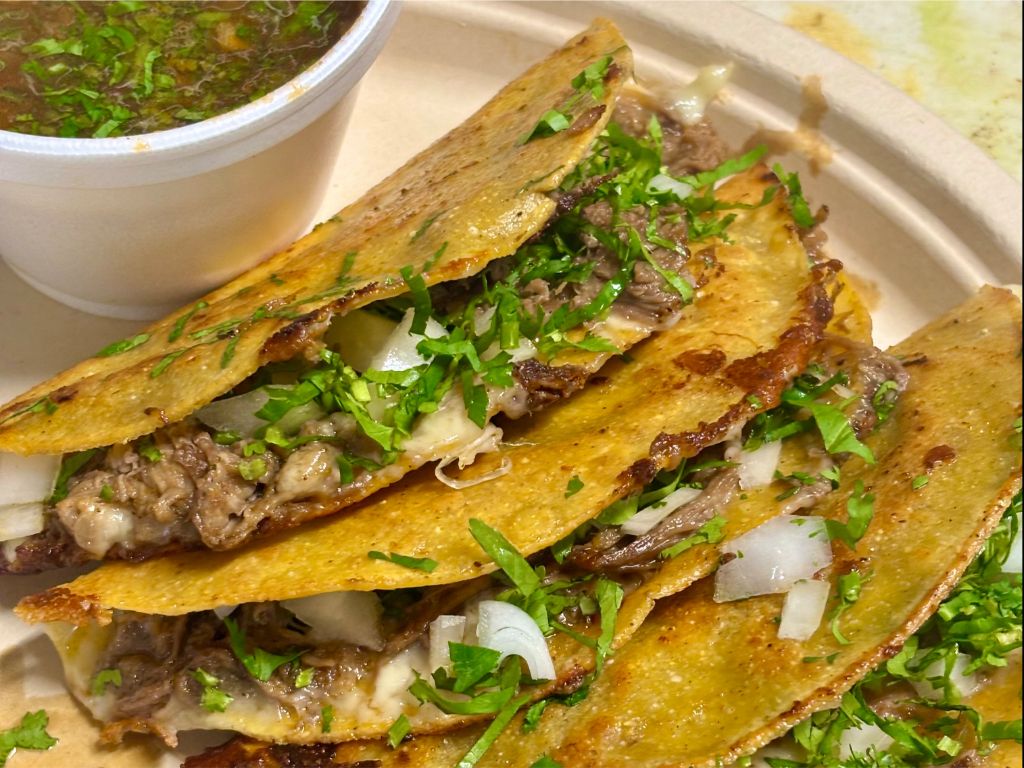 Quesa Birria Tacos (4).