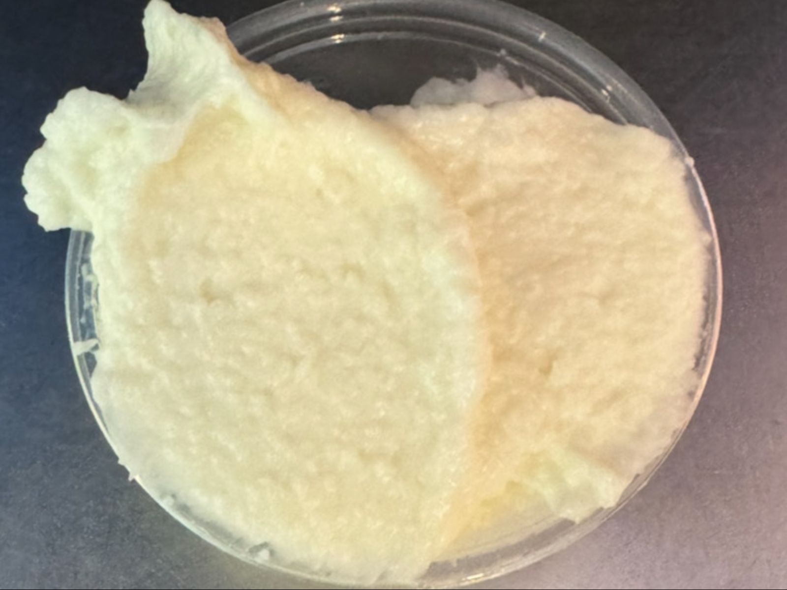 Garlic Sauce (Vegan).