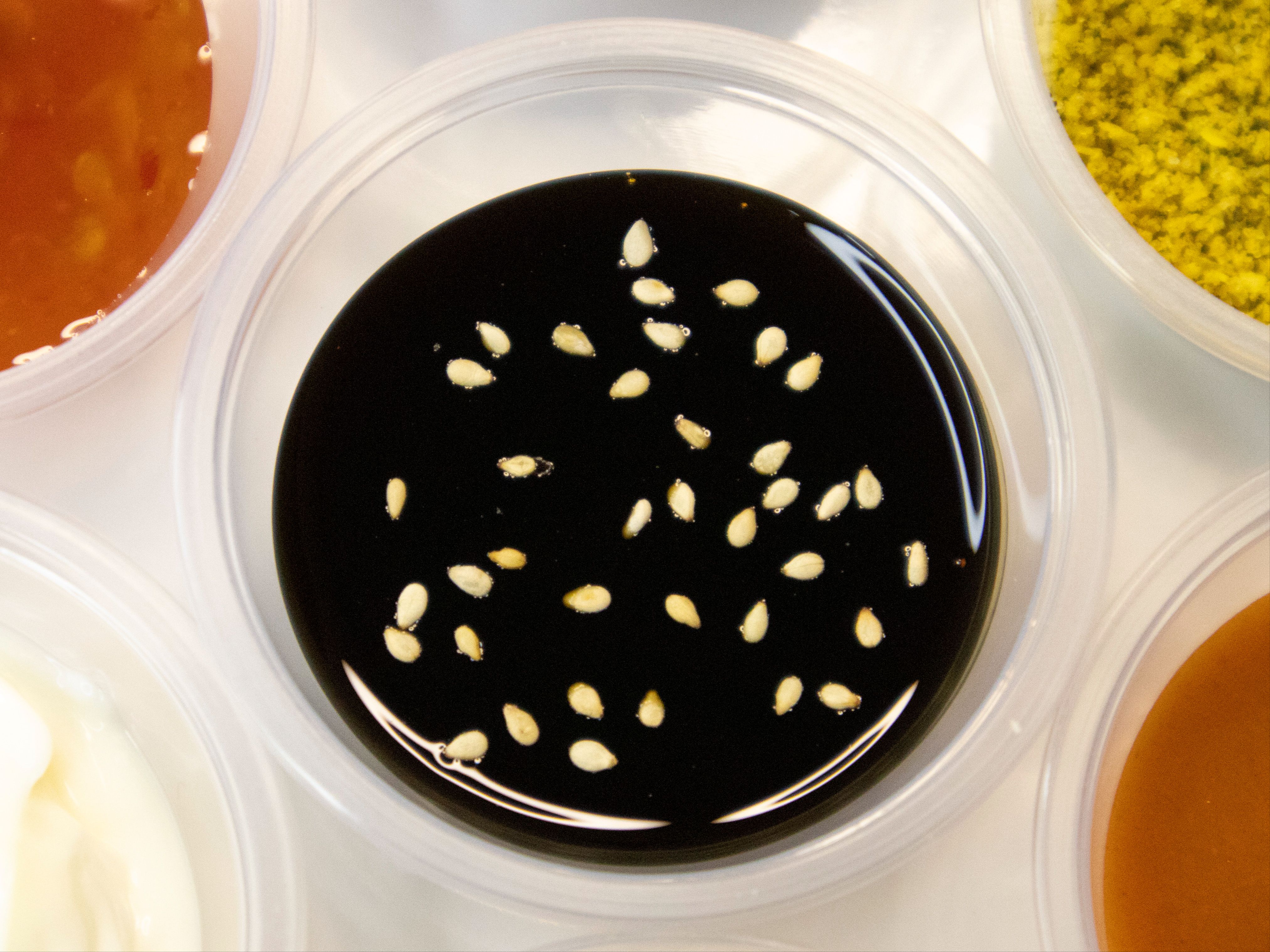 Teriyaki Sauce (2 oz).