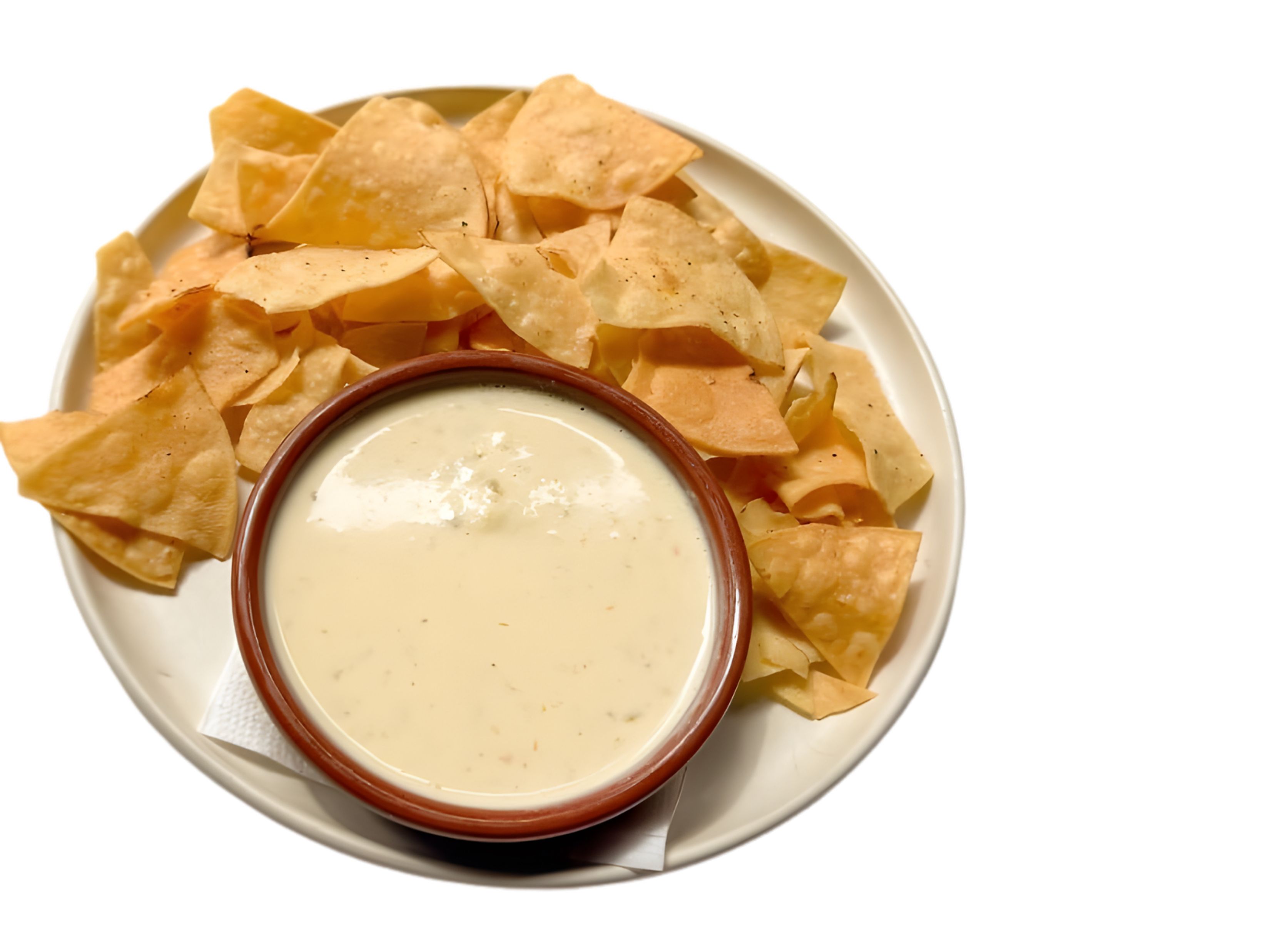 CHEESE DIP PLAIN.