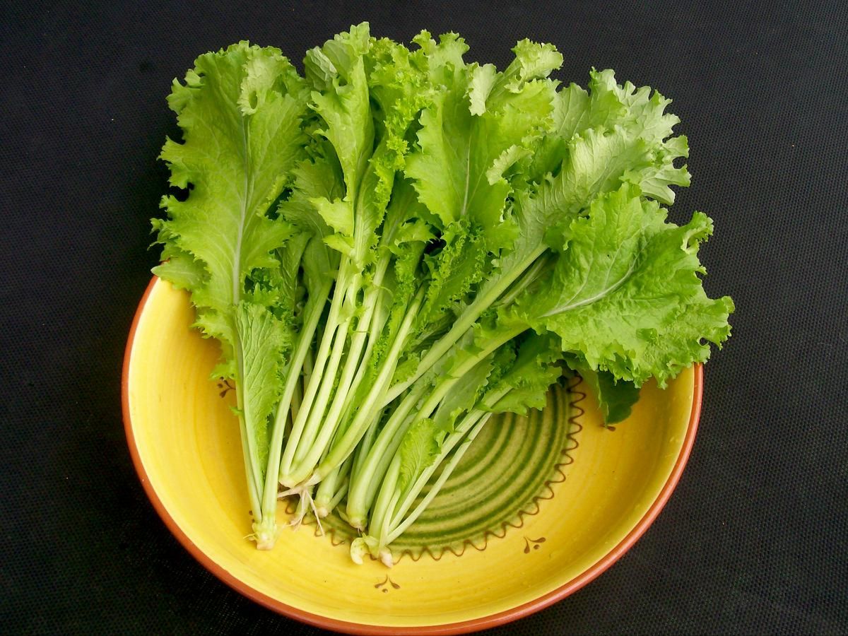 Seed - Mustard Greens, Southern Giant Curled