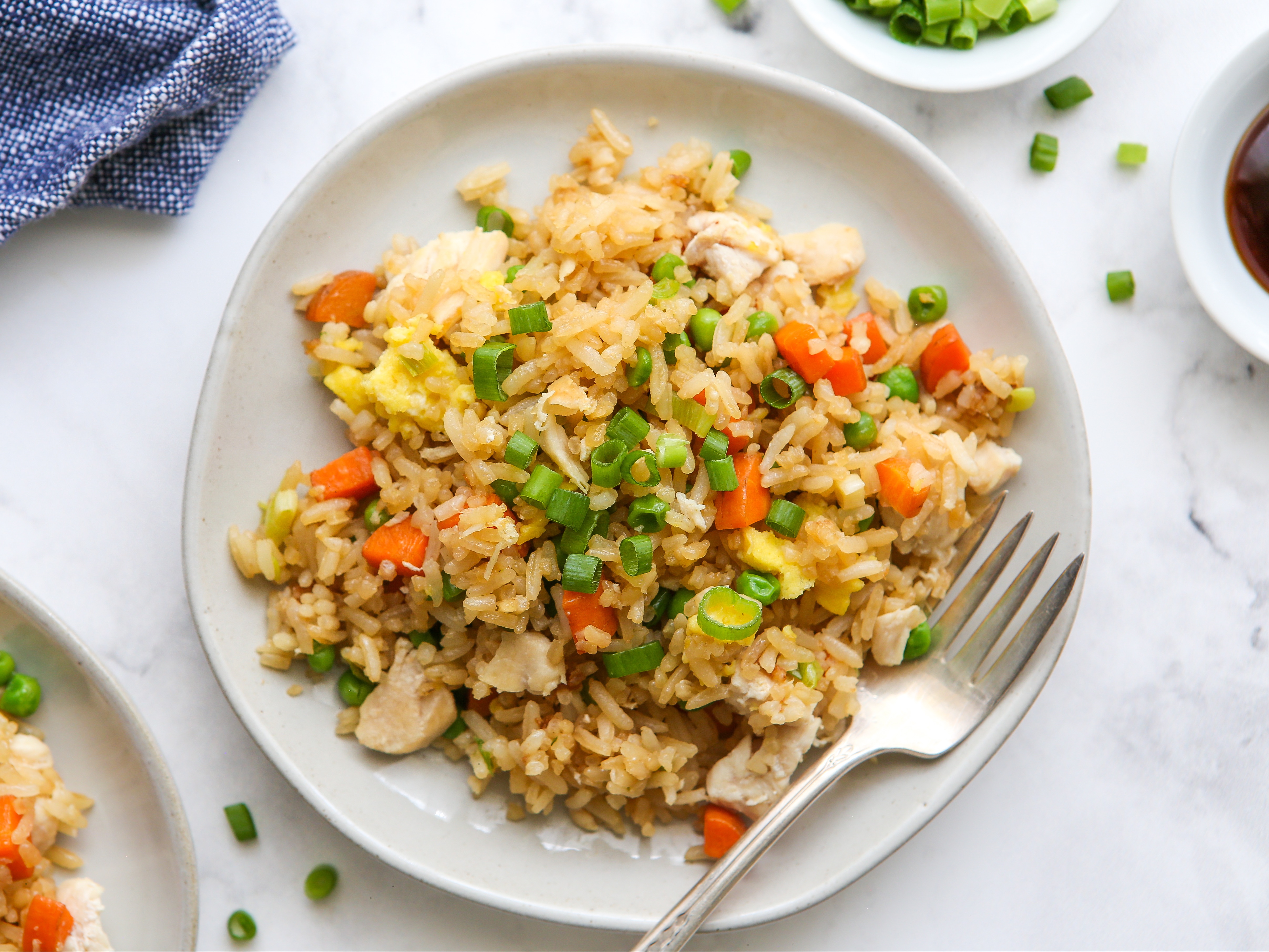 Chicken Fried Rice for Kids.