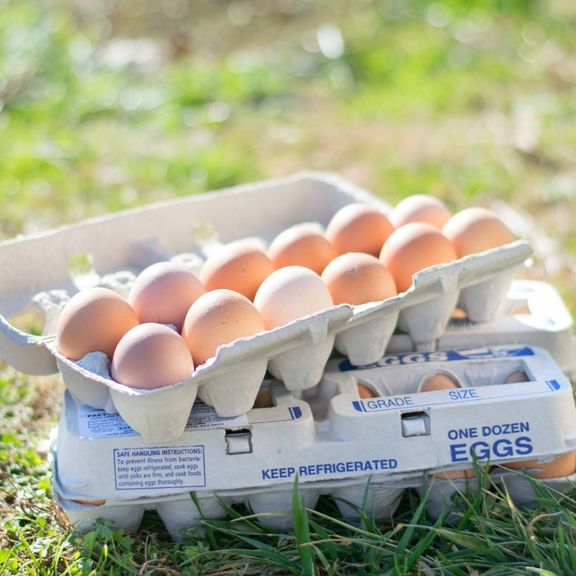 DOZEN EGGS