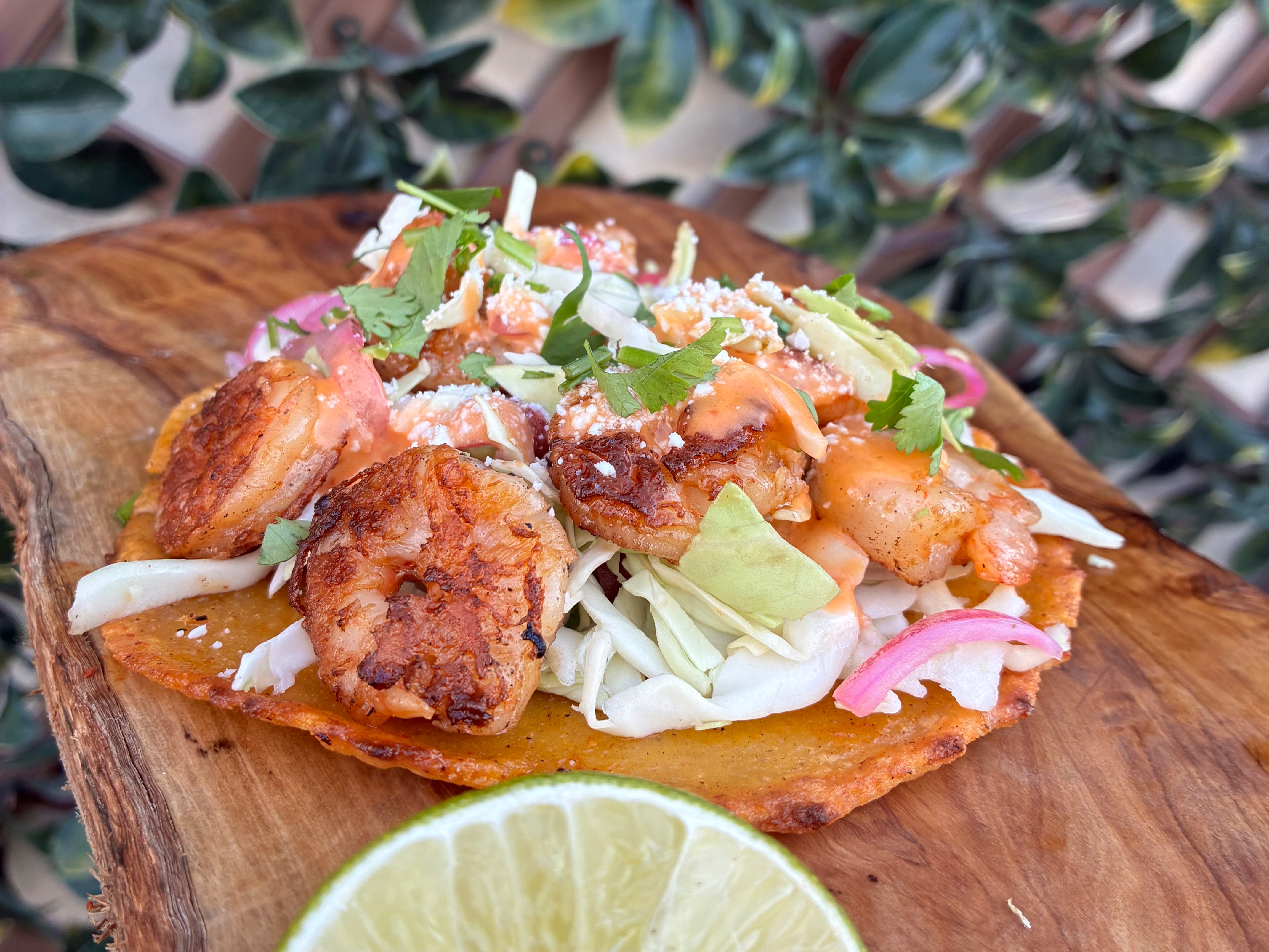 GRILLED SHRIMP TACO.