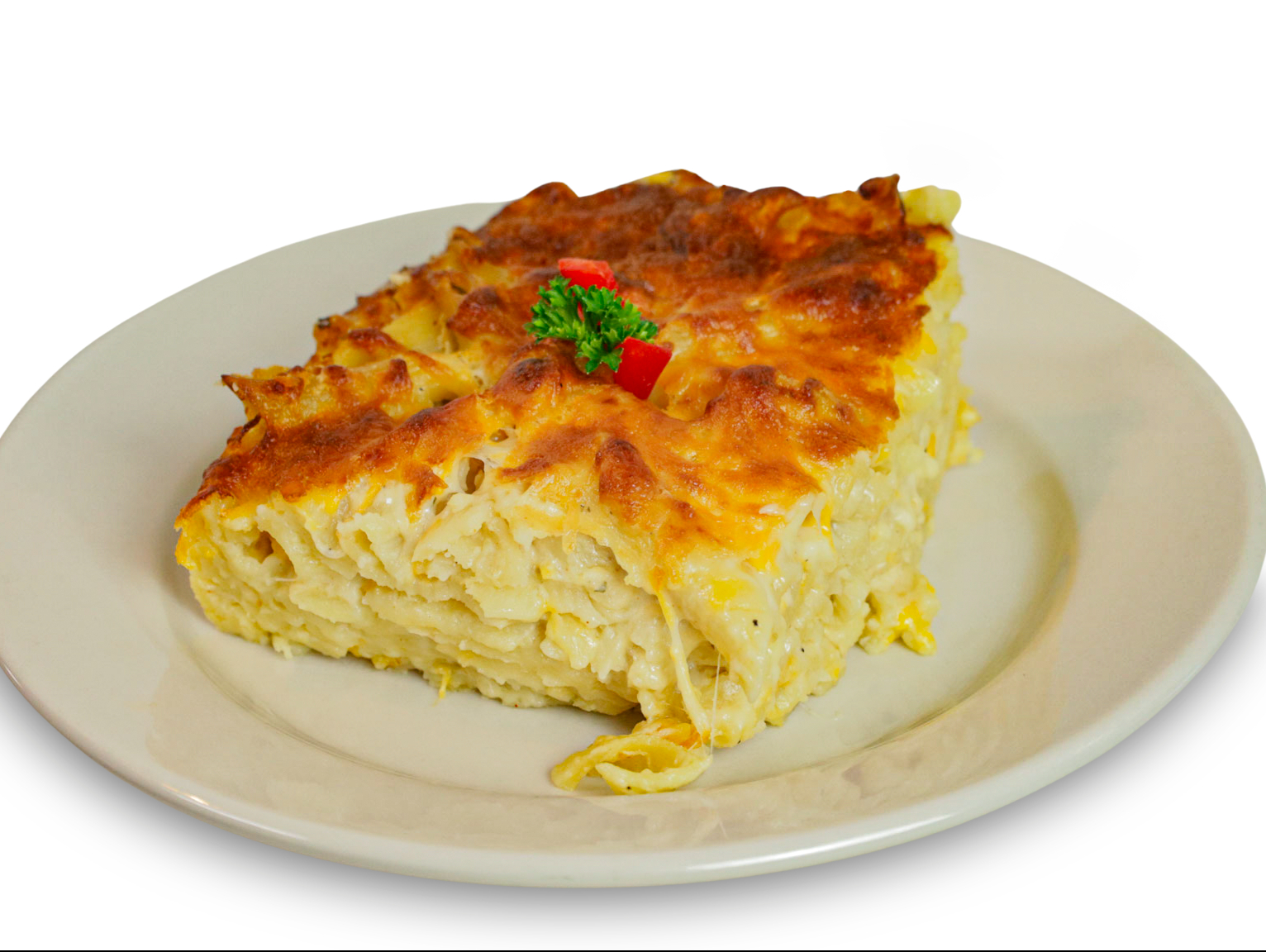 Lg. Macaroni With Meat.