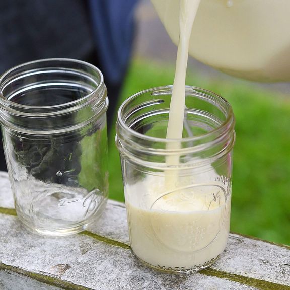 Raw Milk Gallon