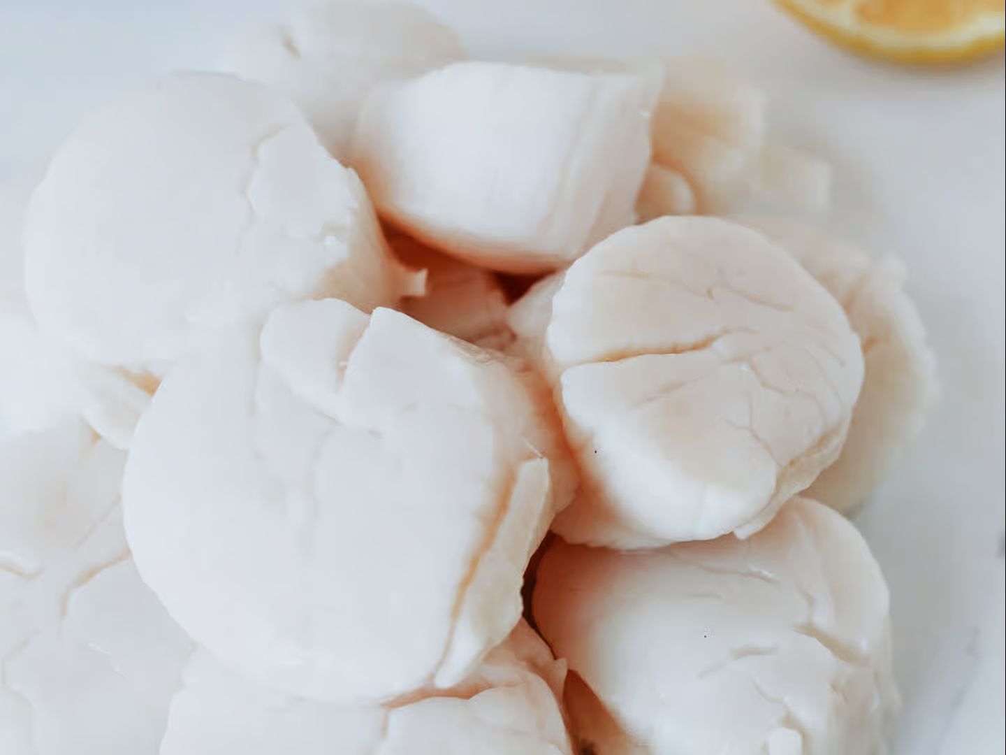 Scallops.