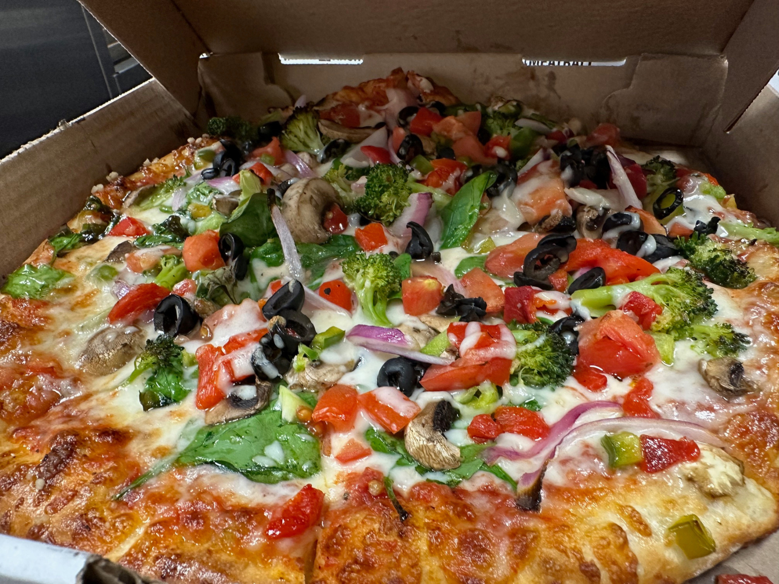 Vegetable Pizza.