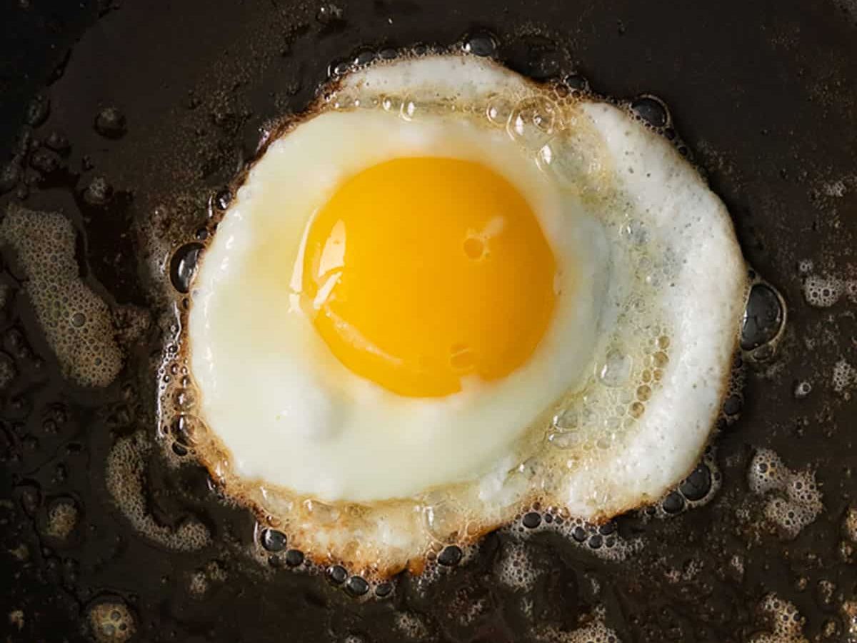 Fried Egg.