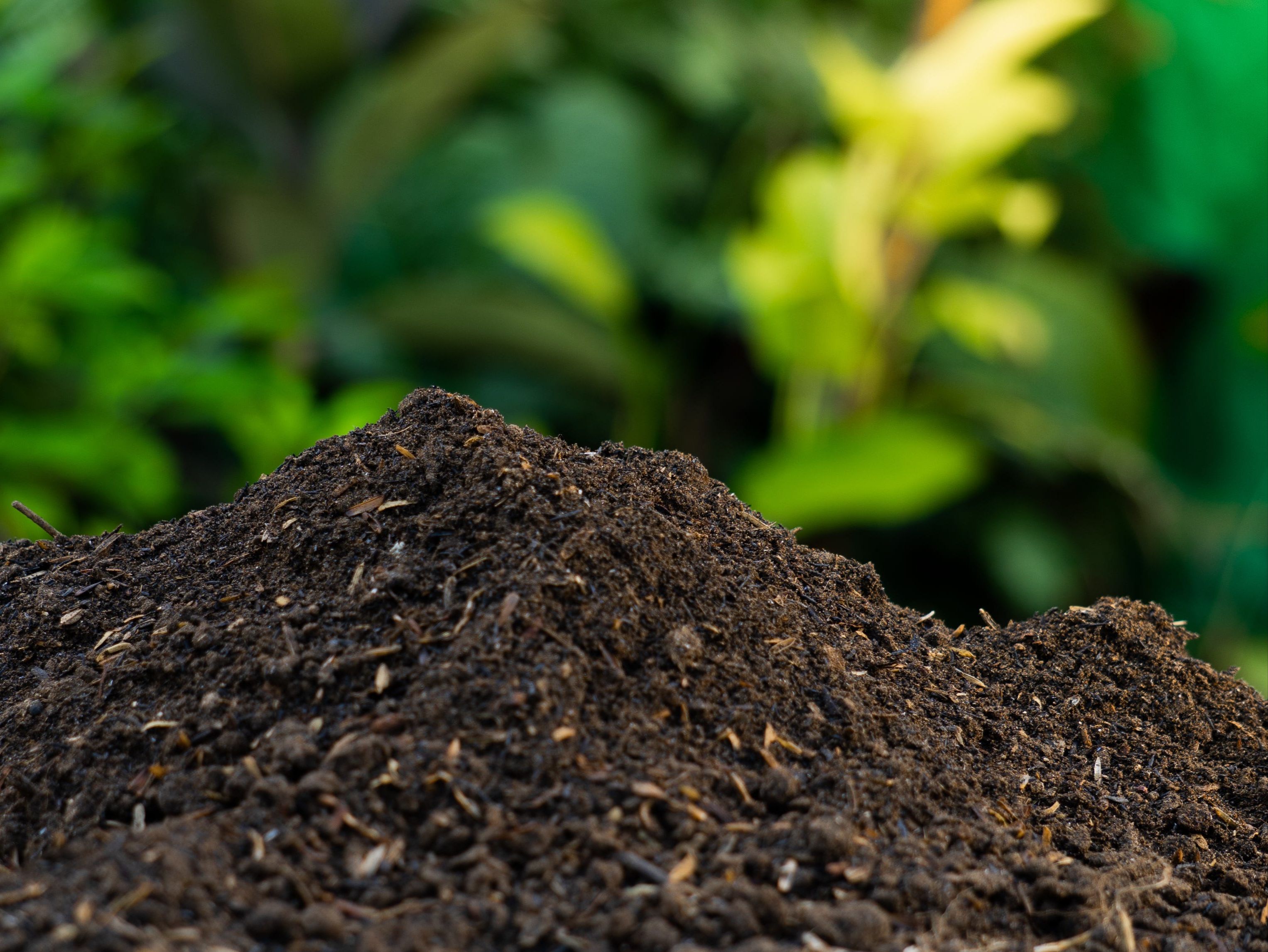 Compost (0.5 Cubic Yards)