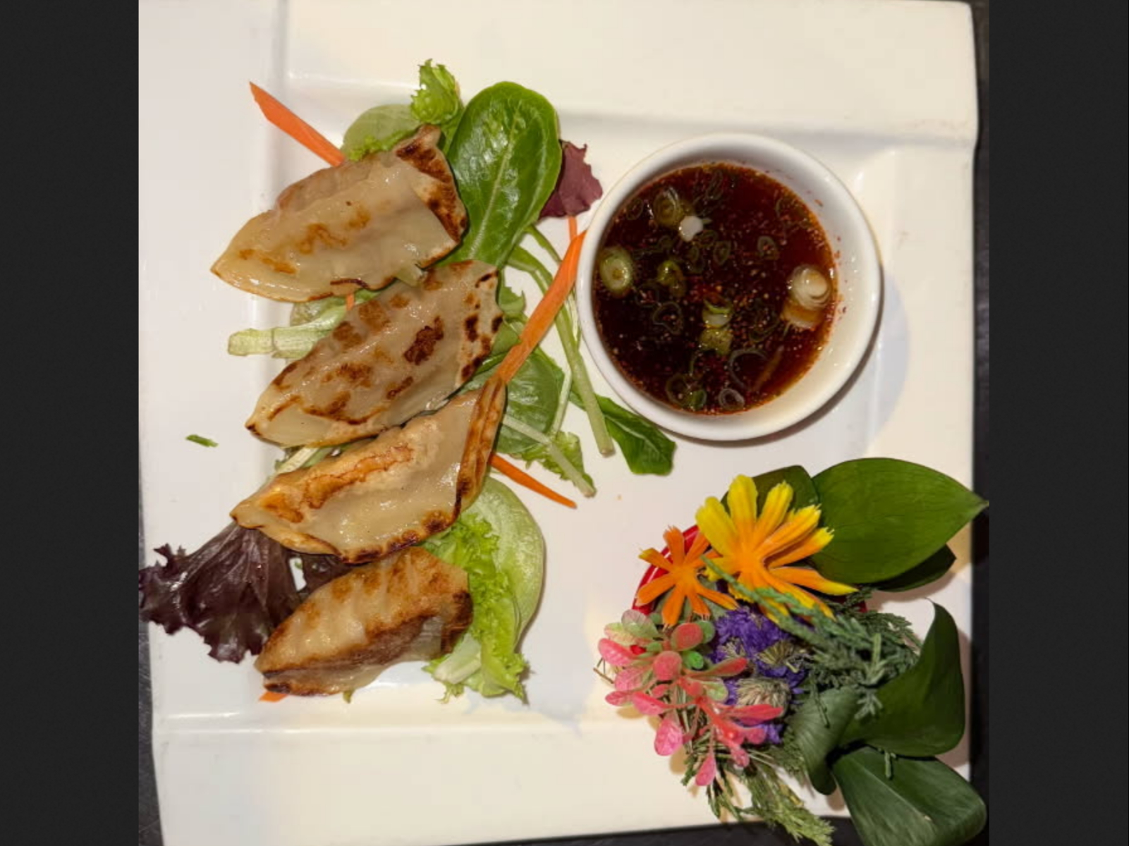 04/Gyoza Ap (4) chicken