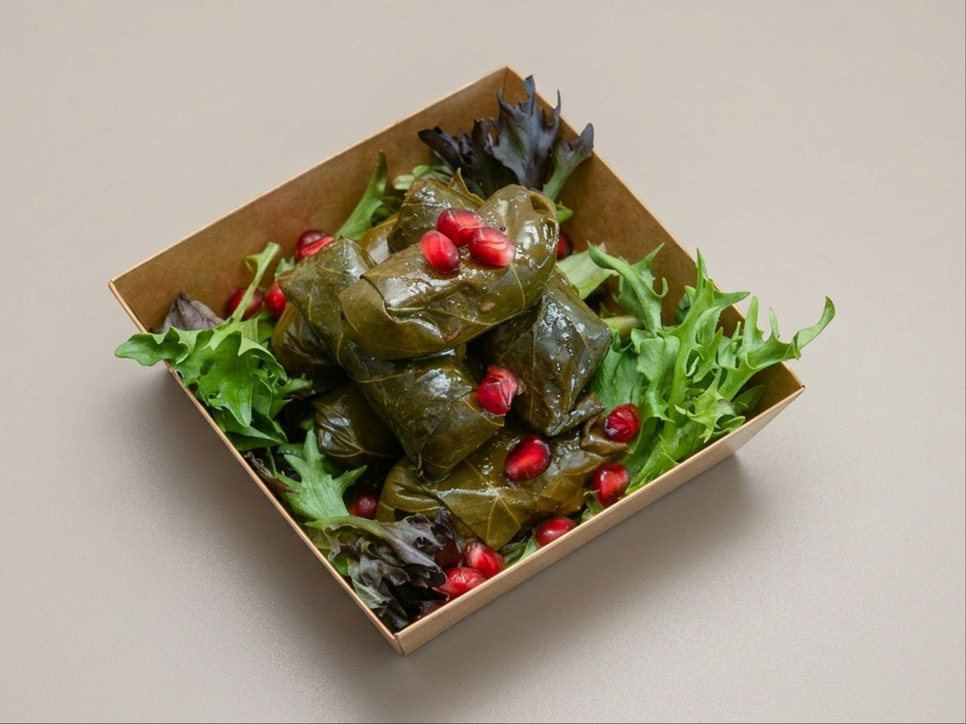 Warak Enab (Grape Leaves).