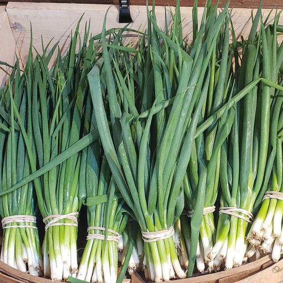 Green Onions