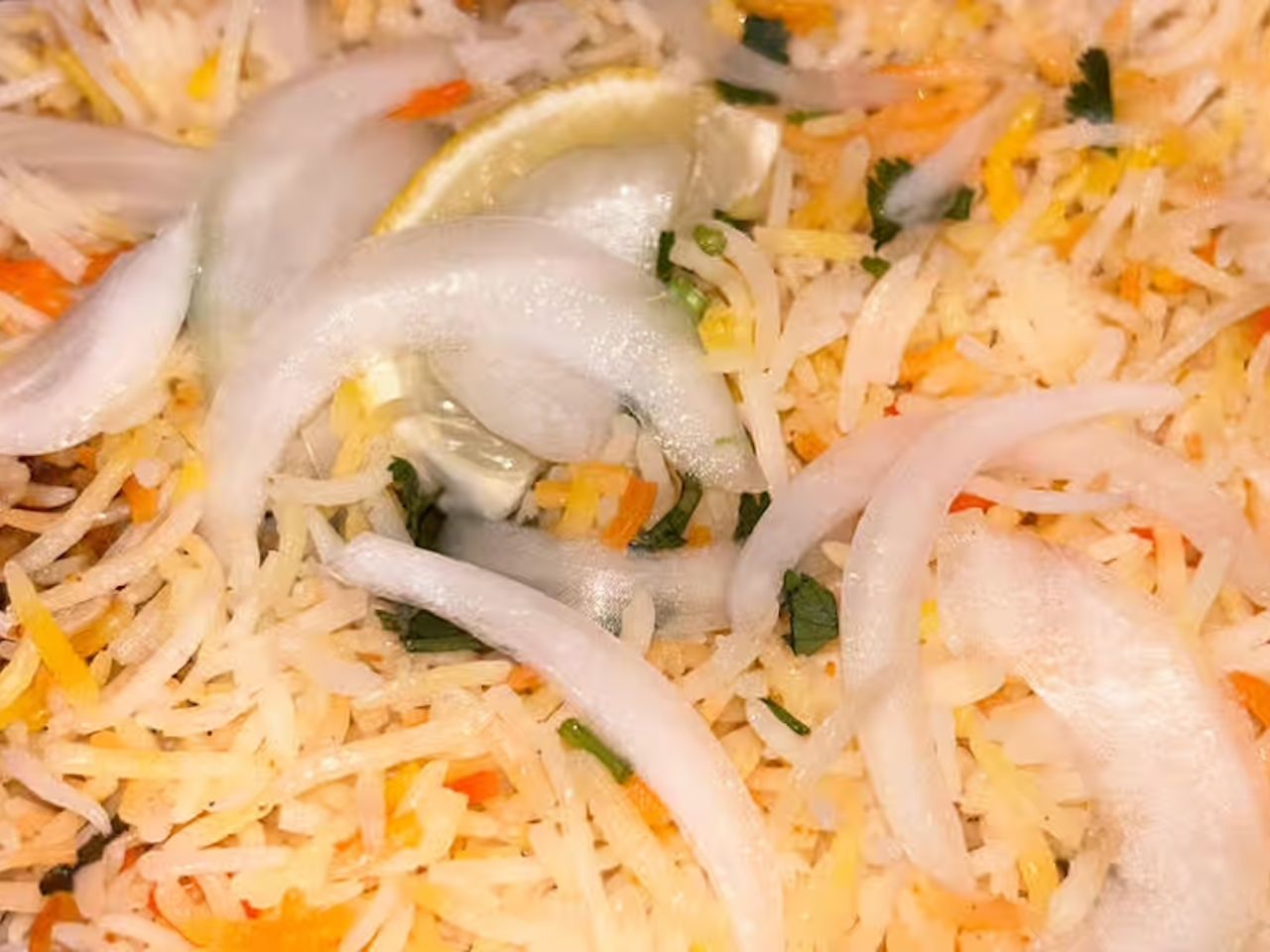 Goat Biryani (Single).