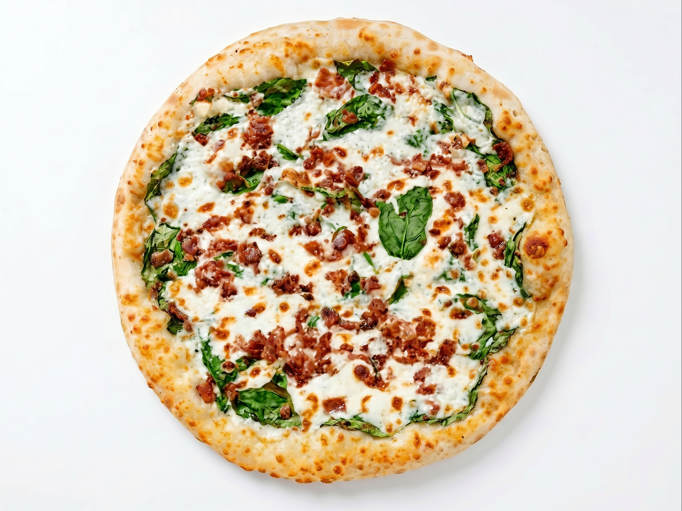 Savor Our Lunch Menu