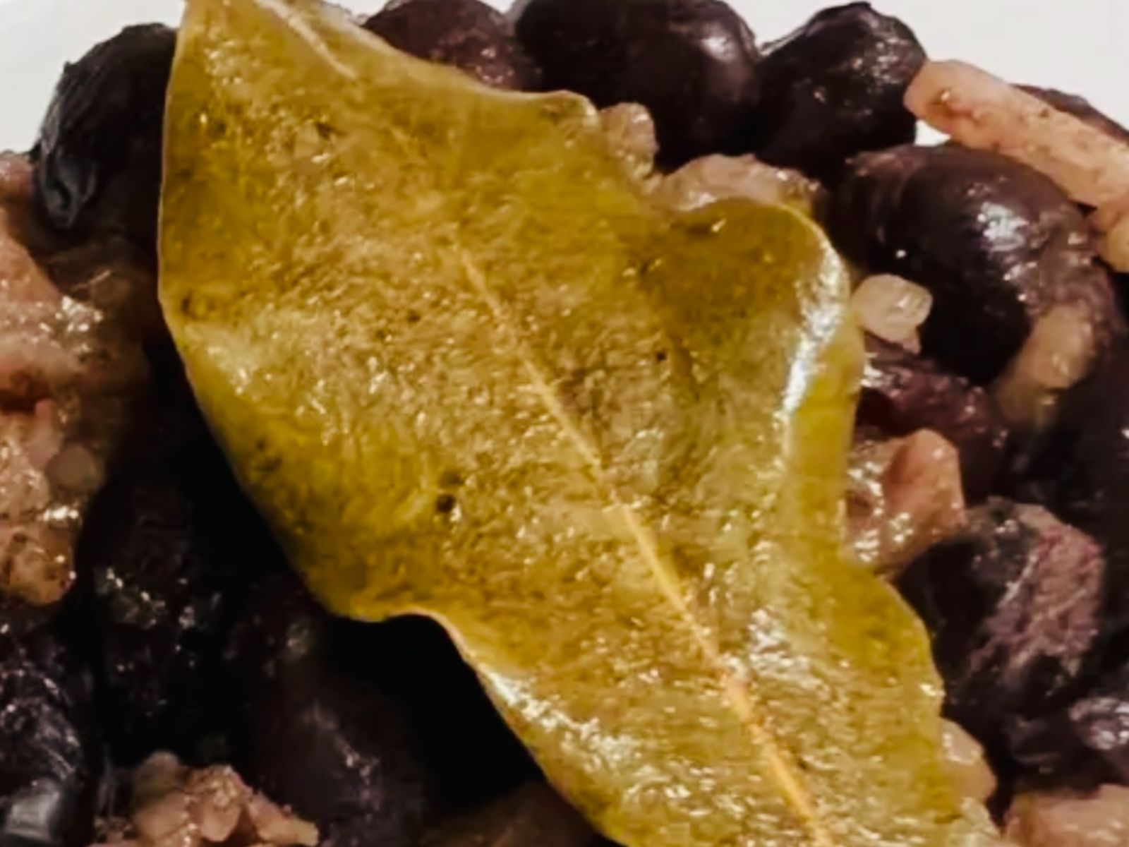 Congree Individual Side