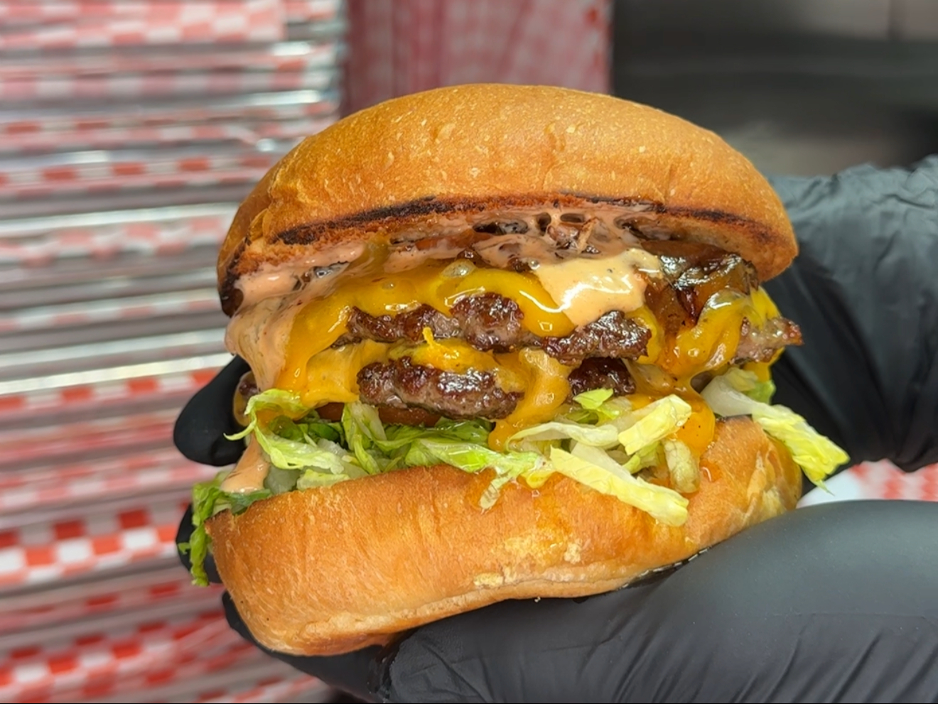 Delicious Chicken Burger and More