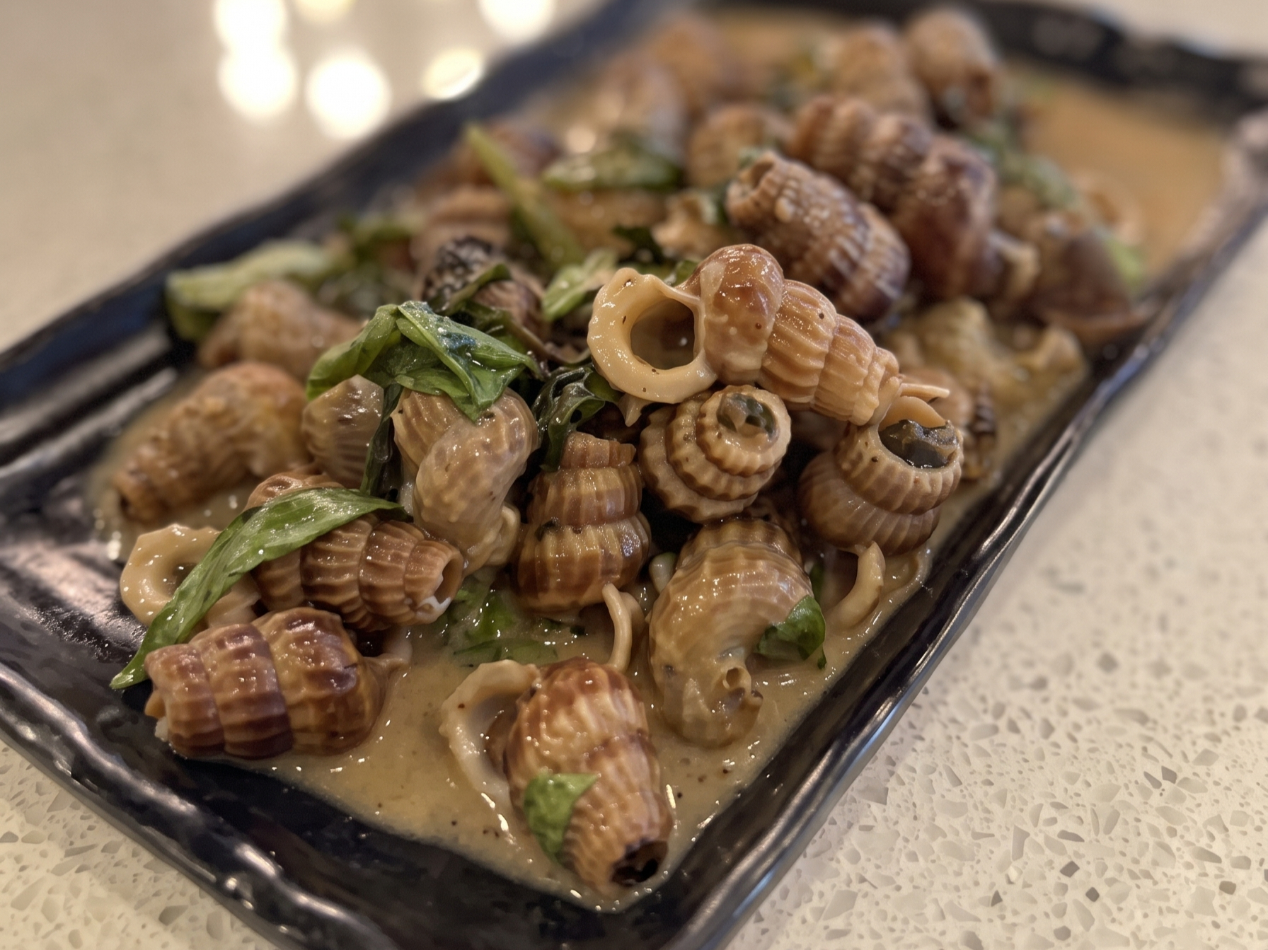 14.Sea Snail Coconut Milk Oc Len.