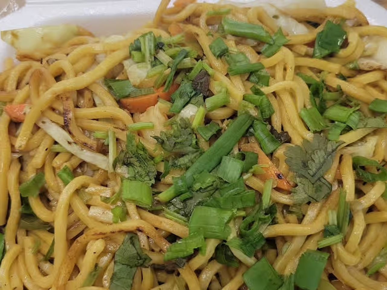 Veg Hakka Noodles.