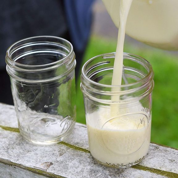 Raw Milk Half Gallon