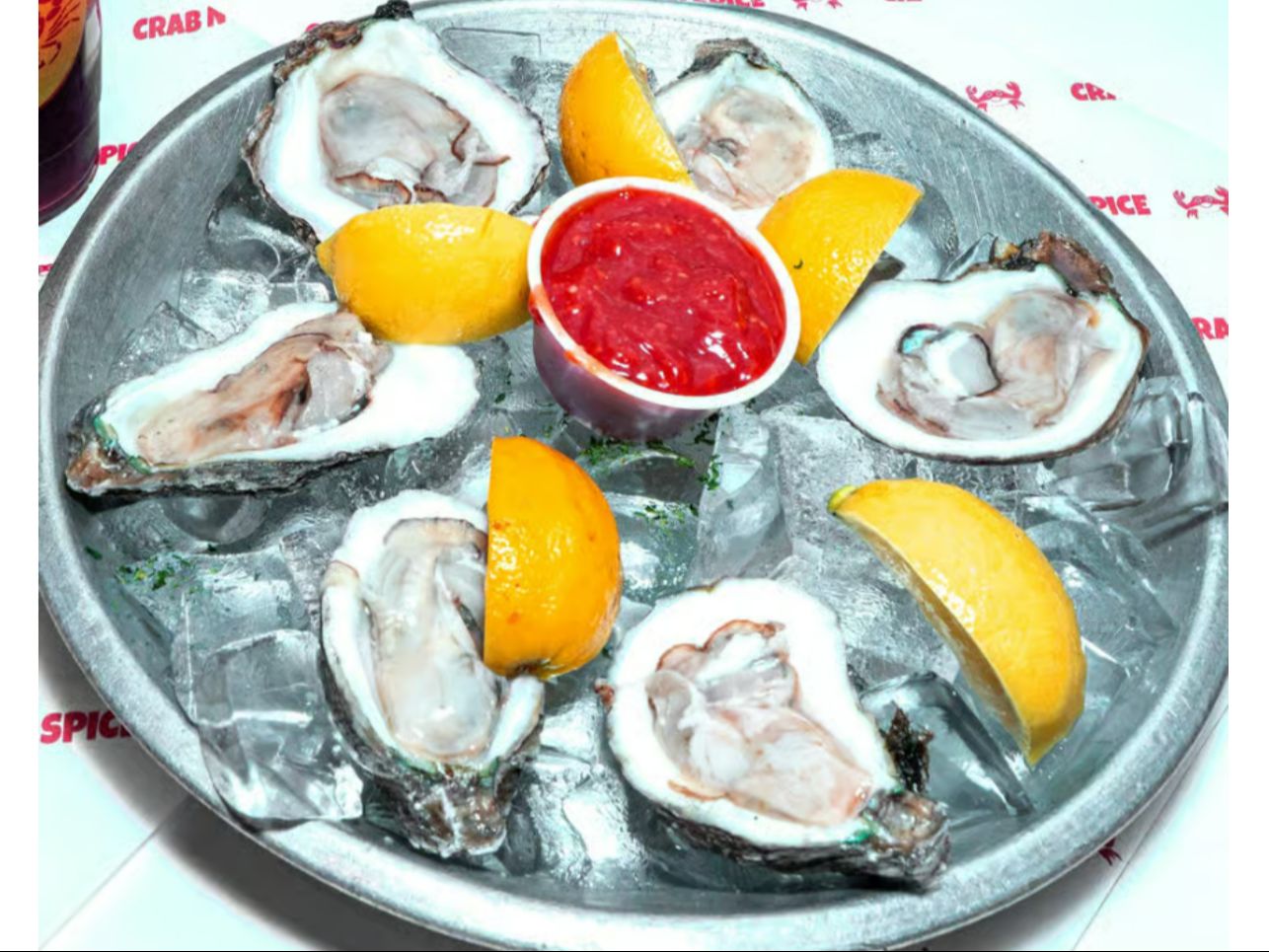 Oyster (6).