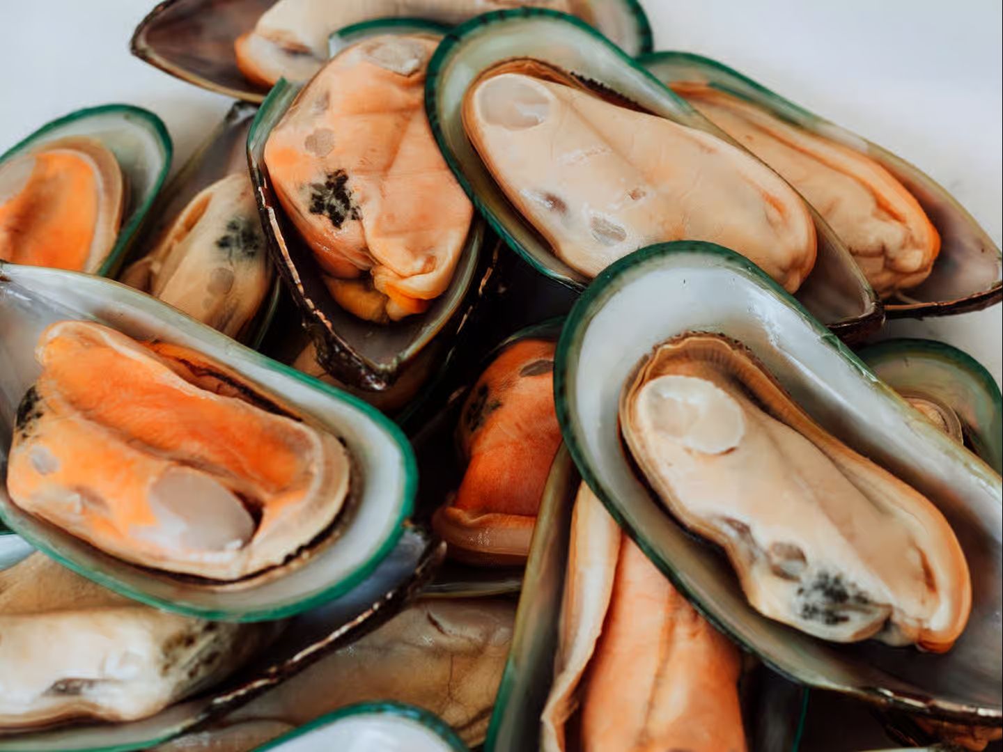 Green Mussels.