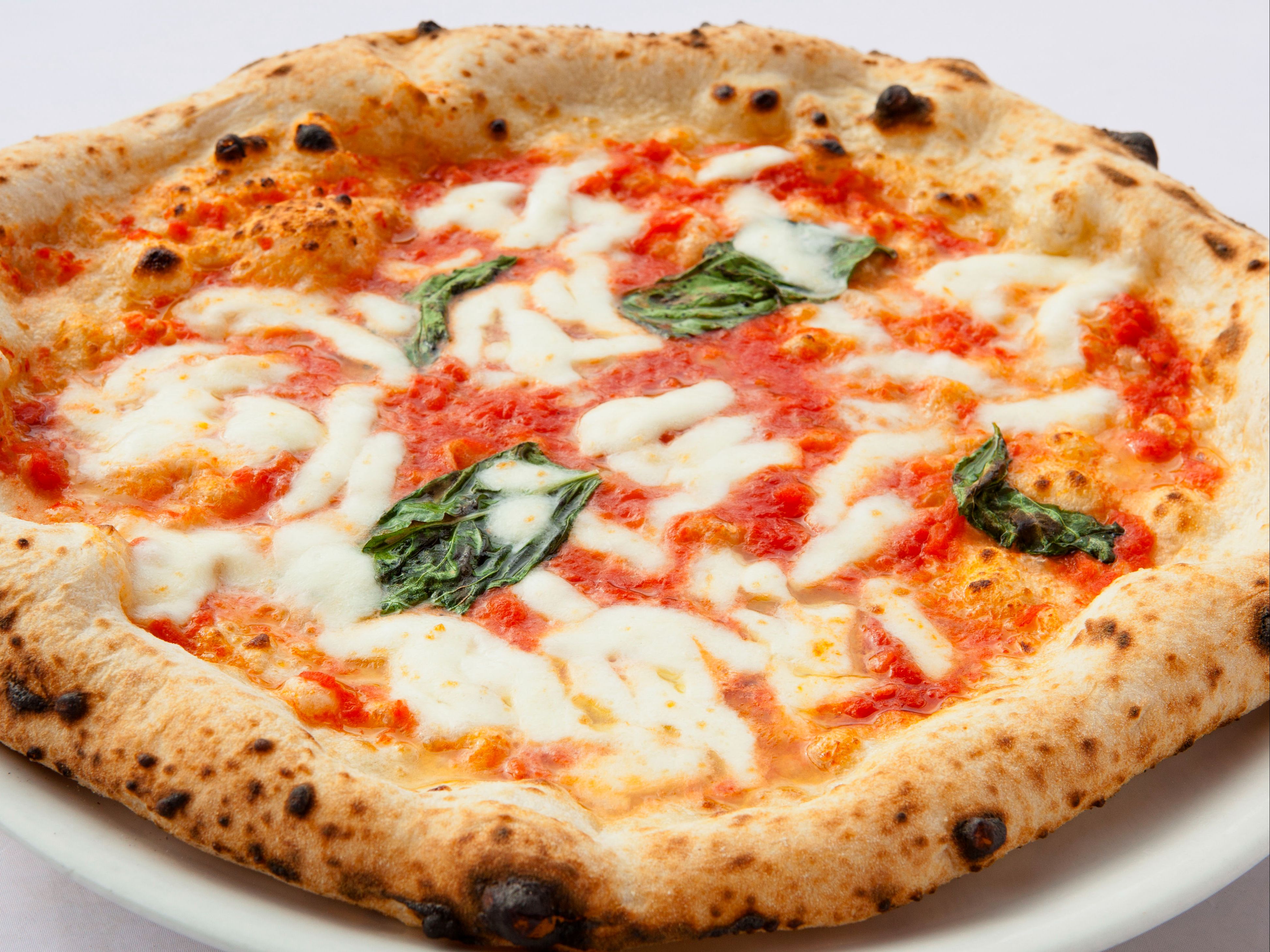 Margherita Pizza.