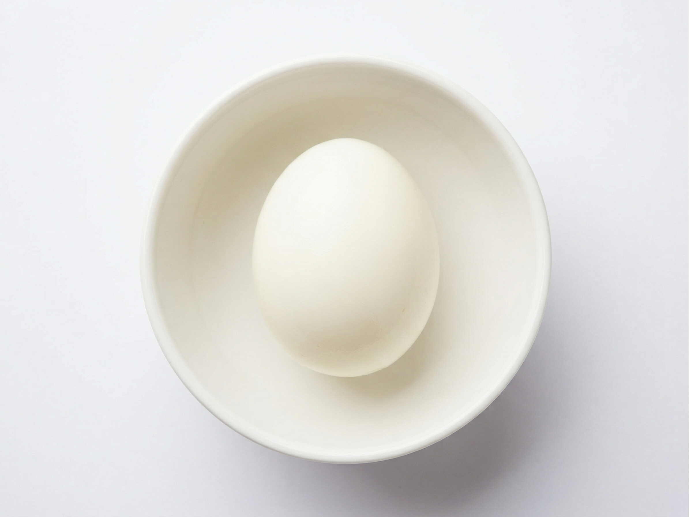 EXTRA EGG.