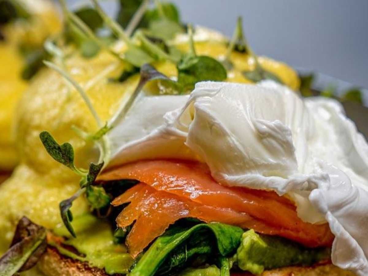 23B.Florentine Benedict