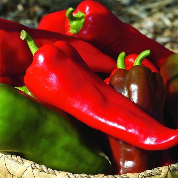 Carmen Sweet Peppers pound