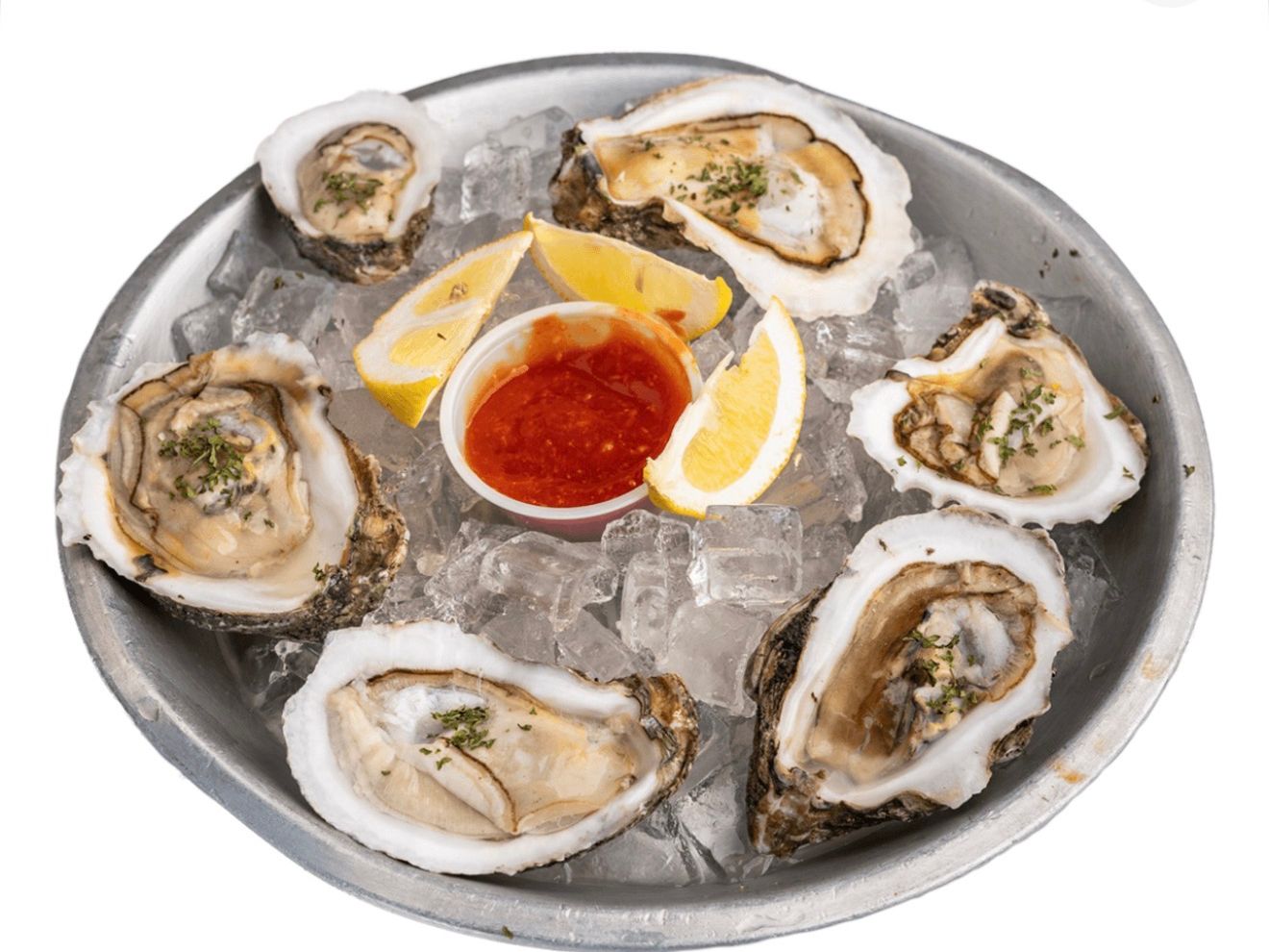 Oysters (12)