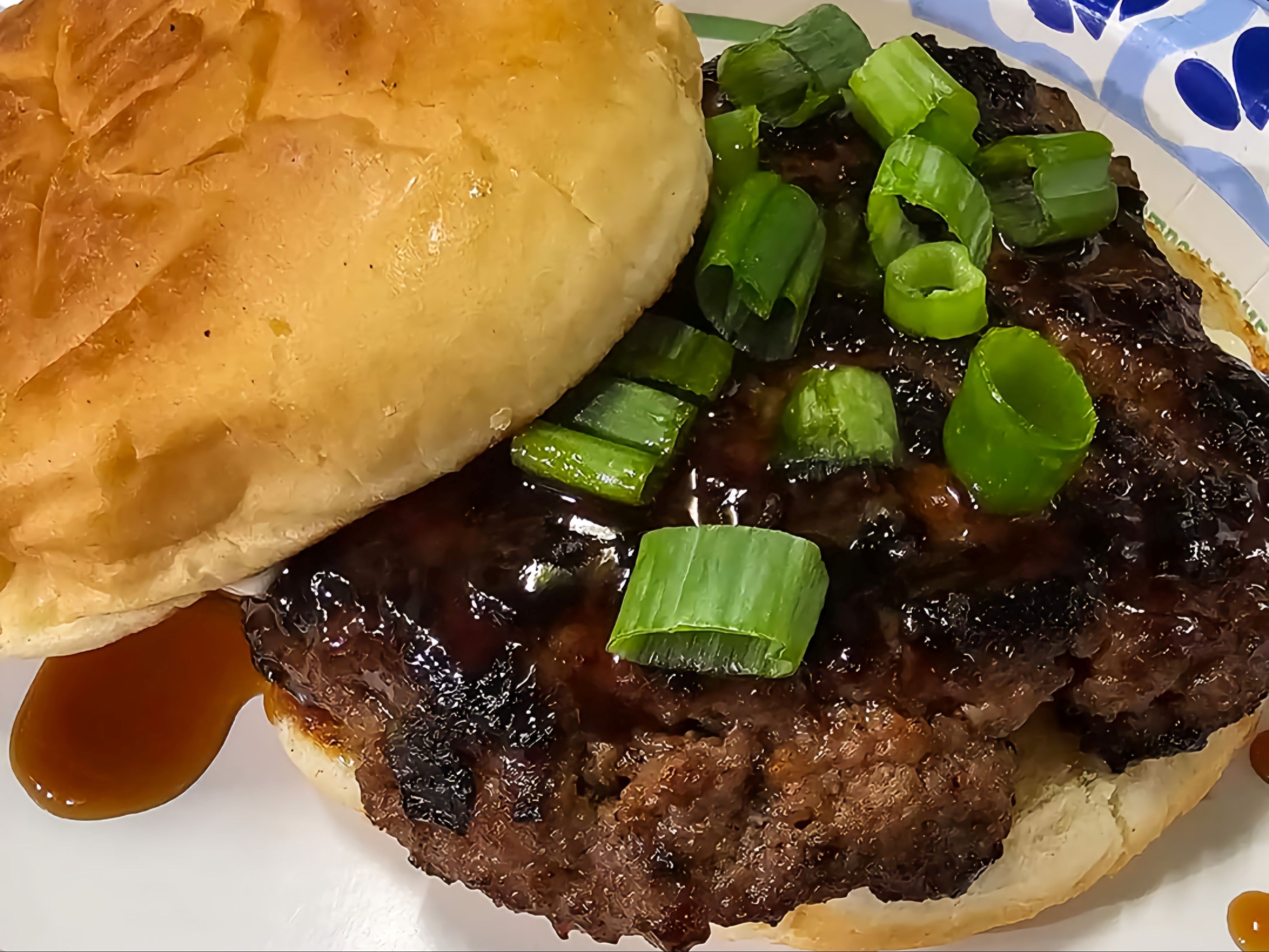 Shaka TERIYAKI Beef sandwich W/FRENCH FRIES.