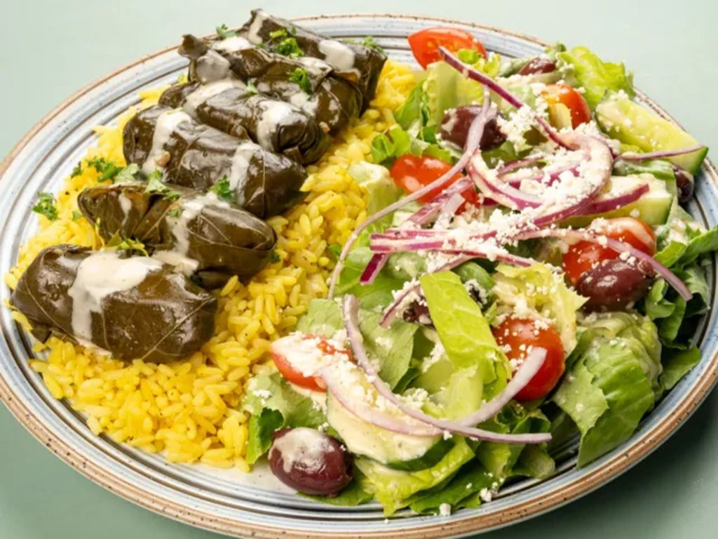 Grape Leaves Combo Plate.