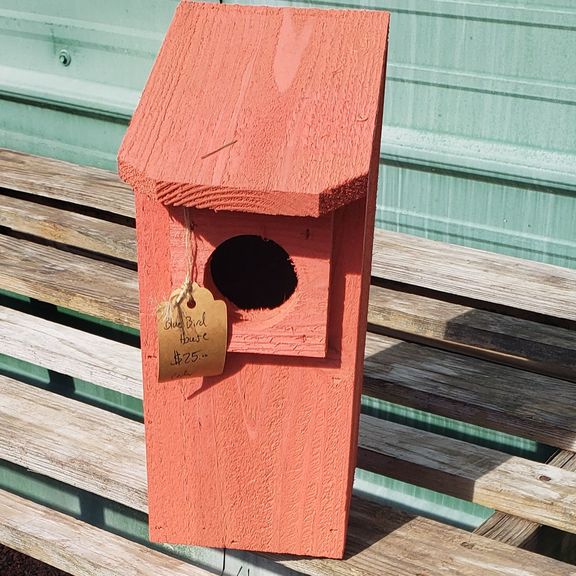 blue bird house